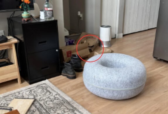 Foto: Reddit