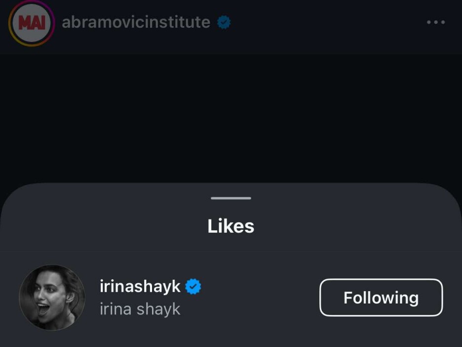 Screenshot: Instagram/abramovicinstitute