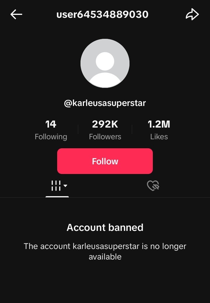 Screenshot/TikTok