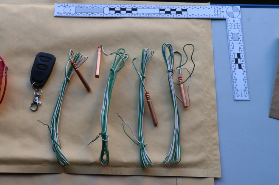 Pronađeni su i detonatori za eksplozivna punjenja (Foto: Europol)