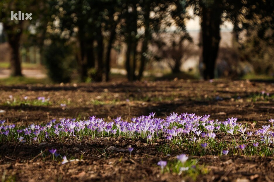 Kaćuni (Foto: I. L./Klix.ba)
