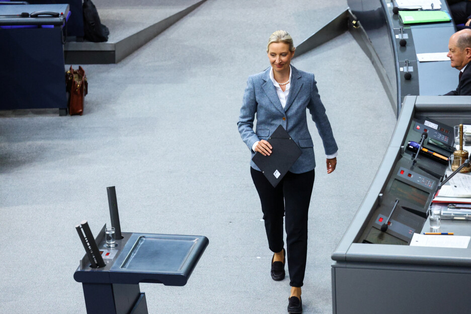 AfD ojačao nakon izbora (Foto: Reuters)