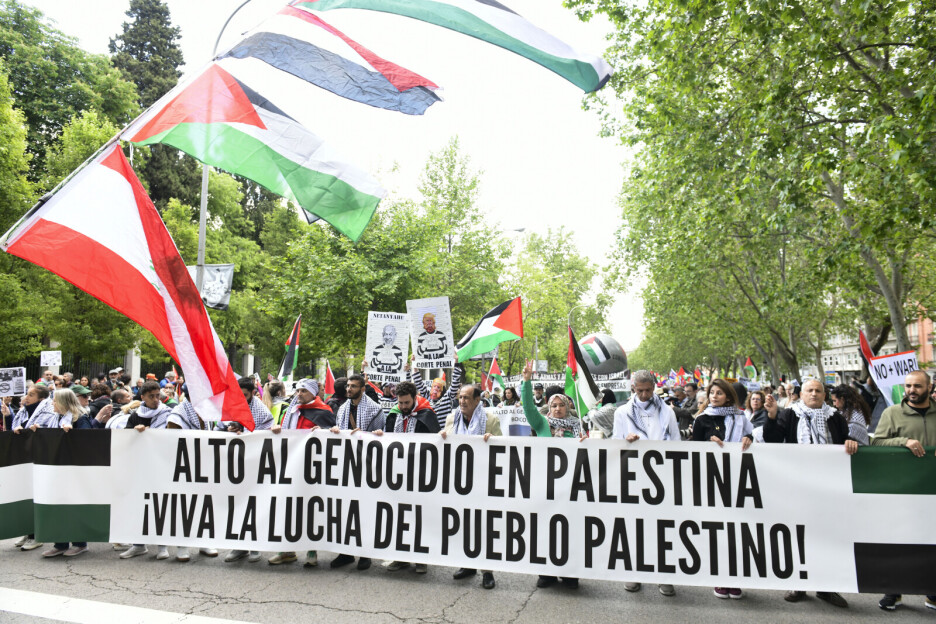 Palestinci imaju veliku podršku među građanima Španije (Foto: EPA-EFE)