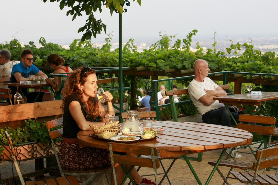 Voće i povrće uzgojeno u dobroj mjeri dovoljno za potrebe stanovništva (Foto: Grad Beč)