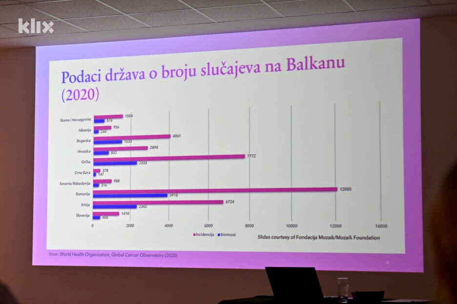 BHAAS medicinski simpozij o borbi s karcinomom dojke (Foto: V. D./Klix.ba)