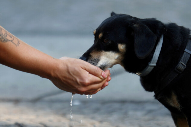 (Foto: Reuters)