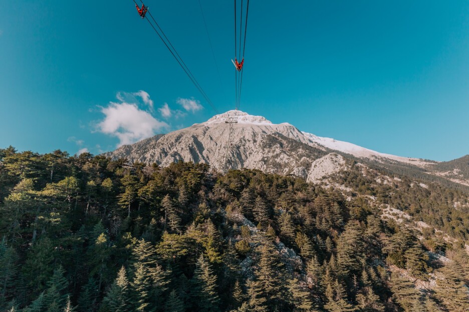 Planina 