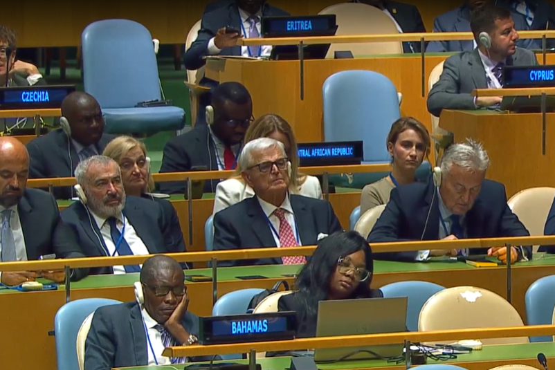 Delegacije BiH u UN-u
