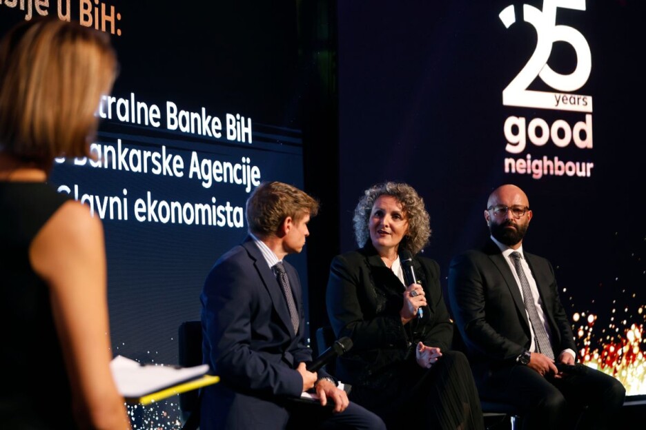 25 godina rada u BiH