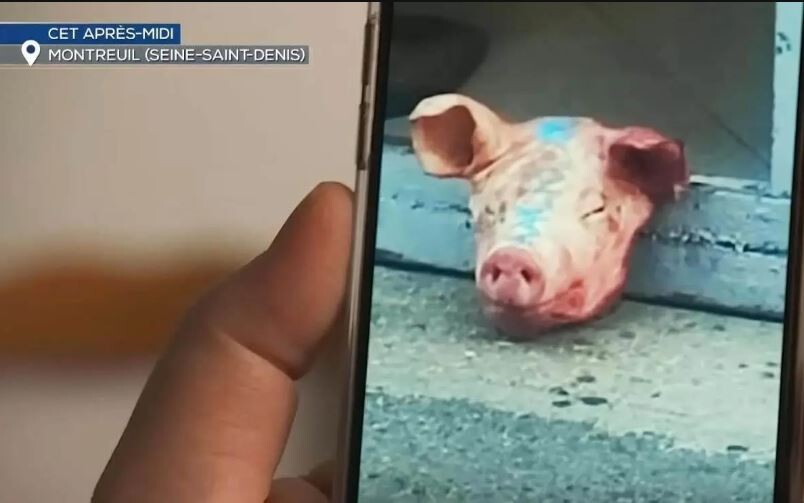 Fotografija svinjske glave koja je ostavljena ispred džamije