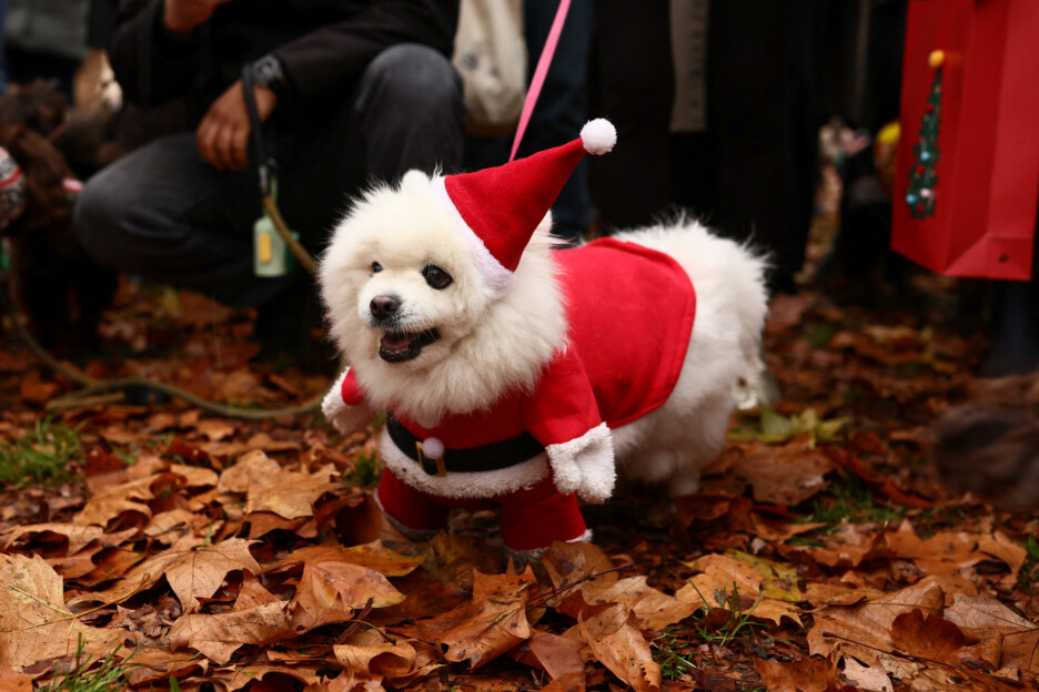 Foto: Reuters