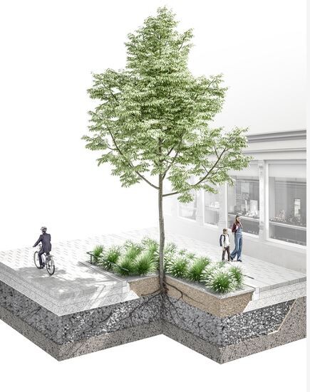 Drveće se navodnjava mehanizmom