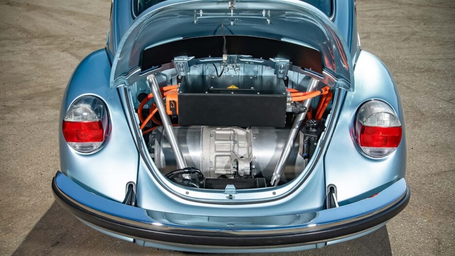 Foto: Knepper Bugs & More