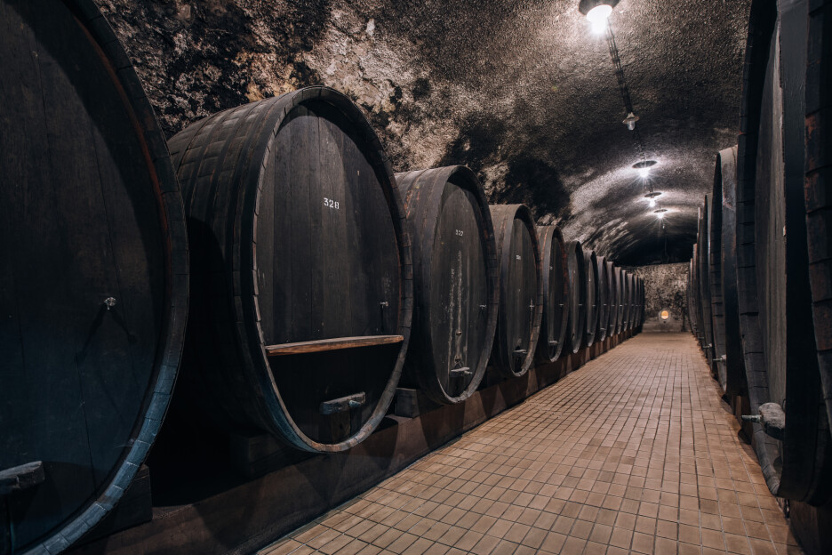Vinski podrum Vinag