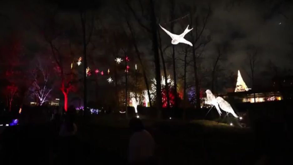 Postavljene su skulpture, svijetleći tuneli i zavjesa sinhroniziranog svjetla i zvuka (Foto: YouTube/Screenshot)