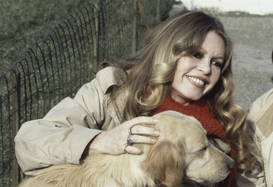 Bardot se nakon glume posvetila pravima životinja i aktivizmu (Foto: AP)