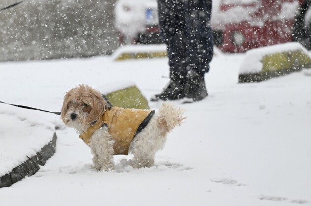 (Foto: T. S./Klix.ba)