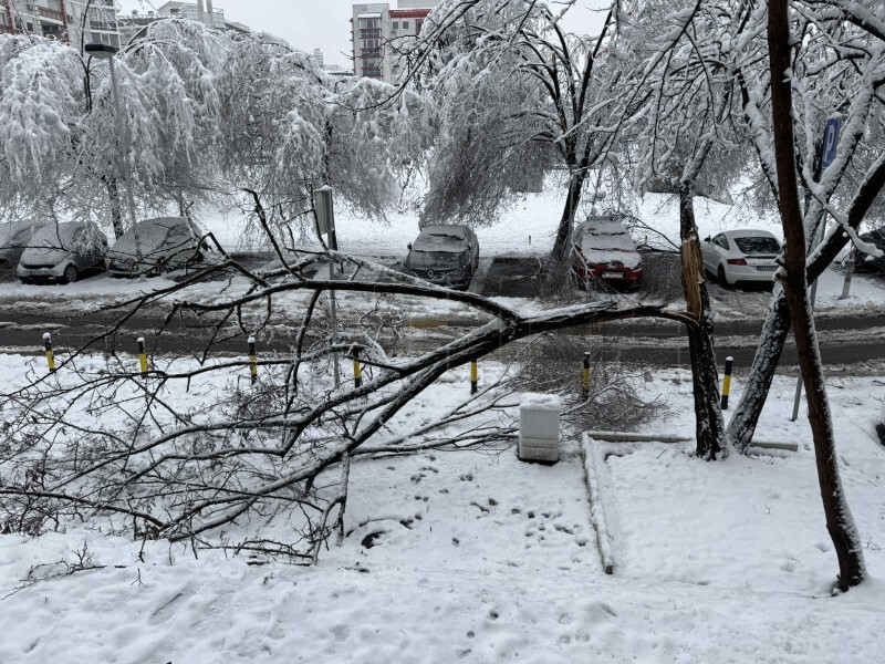Snježne padavine su blokirale i veliki dio Srbije (Foto: Milena Vlajić)