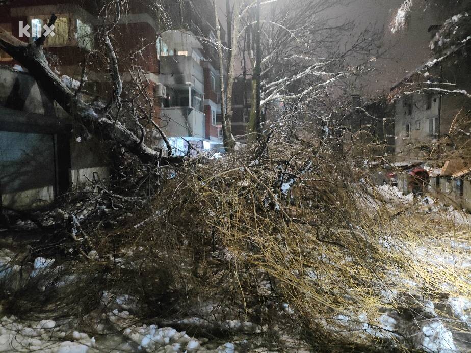 Foto: Čitatelj