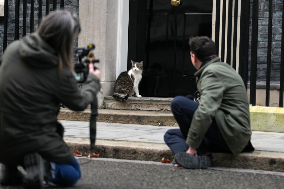 Fotografi ga posebno vole (Foto: AP)
