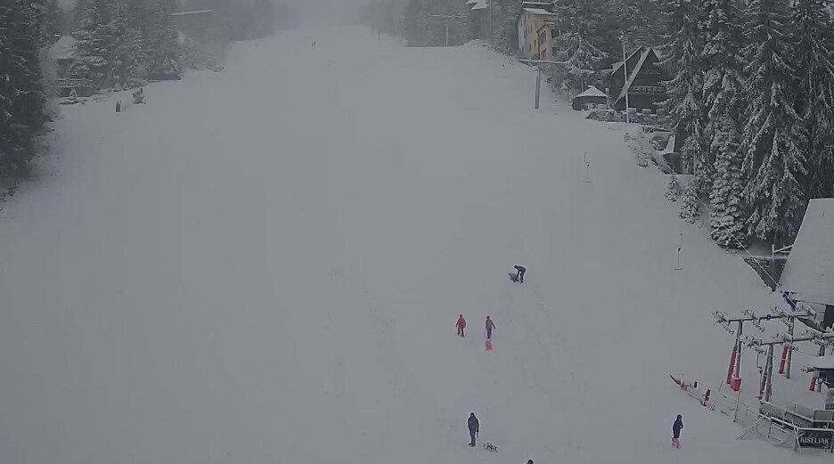 Snijeg na Vla&scaron;iću