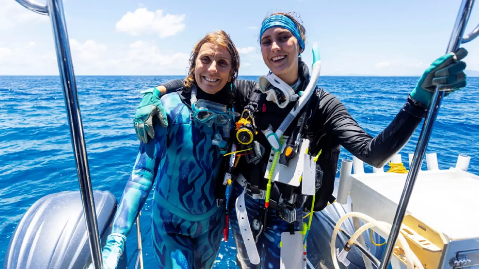 Foto: Great Reef Census