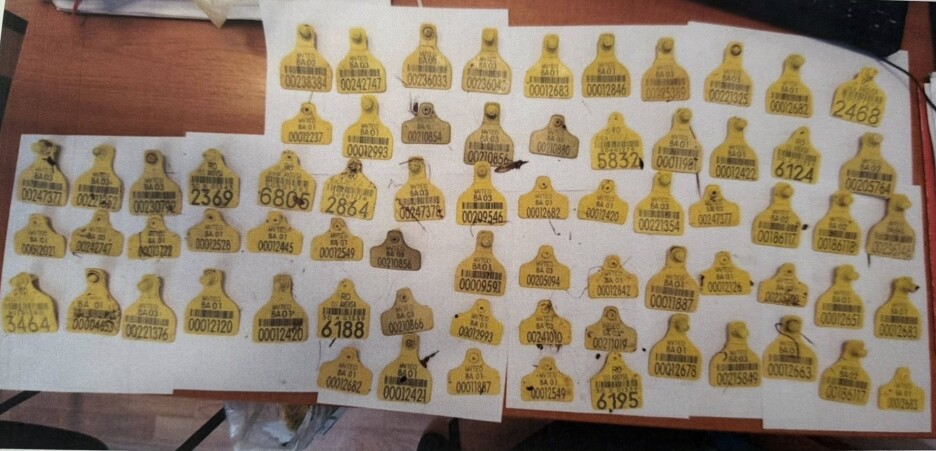 Ušne markice koje su pronađene zajedno s otpadom