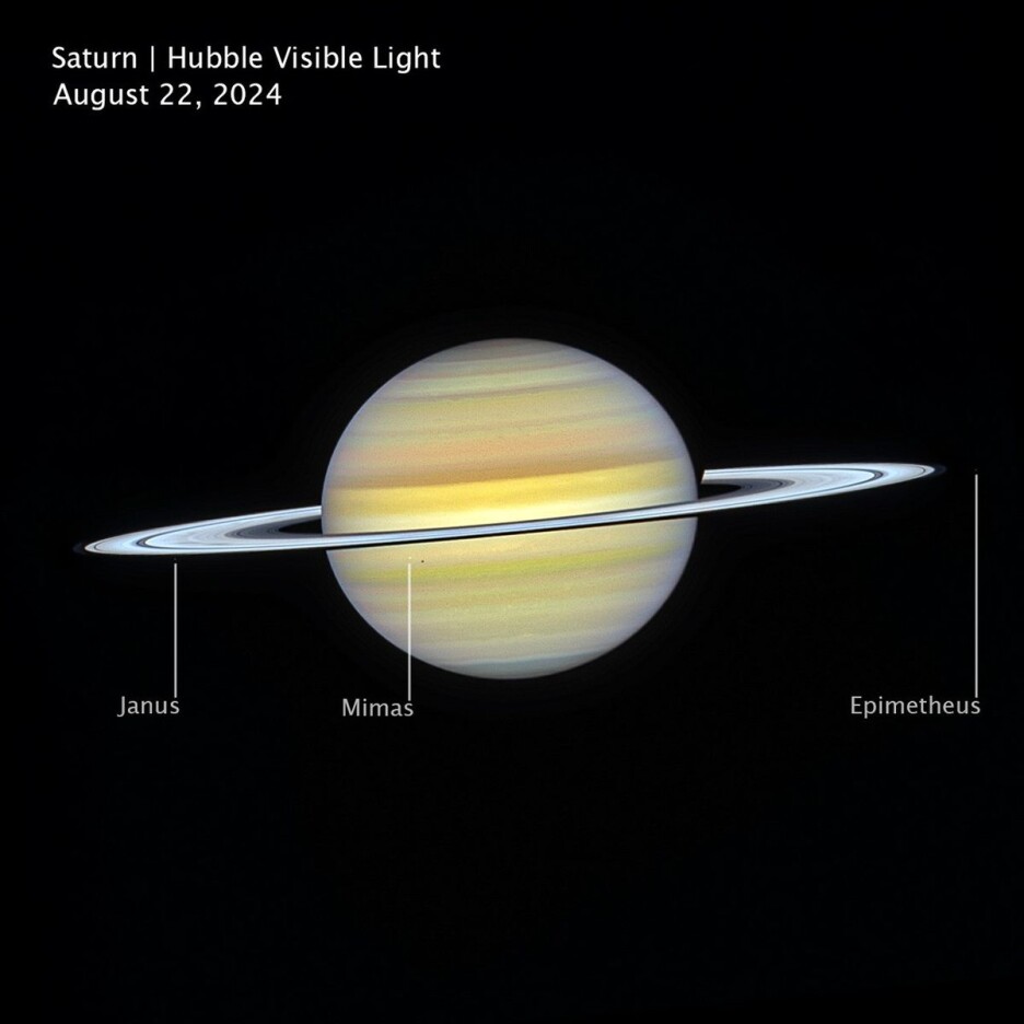 Snimljen 22. augusta 2024. godine od strane NASA-inog svemirskog teleskopa Hubble, ovaj pogled na Saturn u vidljivoj svjetlosti otkriva planetinu meko pojasastu atmosferu (Foto: NASA)