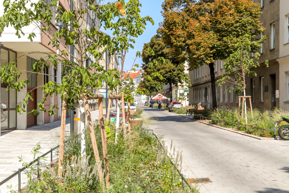 Preuređenje ulice Schleifgasse u okrugu Floridsdorf uz sadnju 18 novih stabala i uklanjanje asfaltnih površina na 3.000 m (Foto: MA28/ Christian Fürthner)
