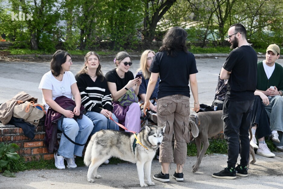Neki su na druženje doveli i ljubimce (Foto: V. D./Klix.ba)
