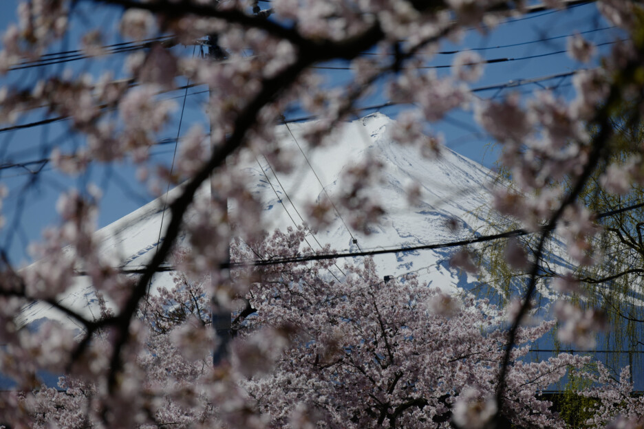 Planina Fuji (Foto: AP)