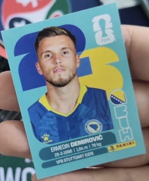 Ermedin Demirović u Paninijevom albumu (Foto: Twitter)