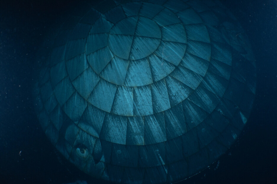 NASA Artemis Moonshot (Foto: AP)