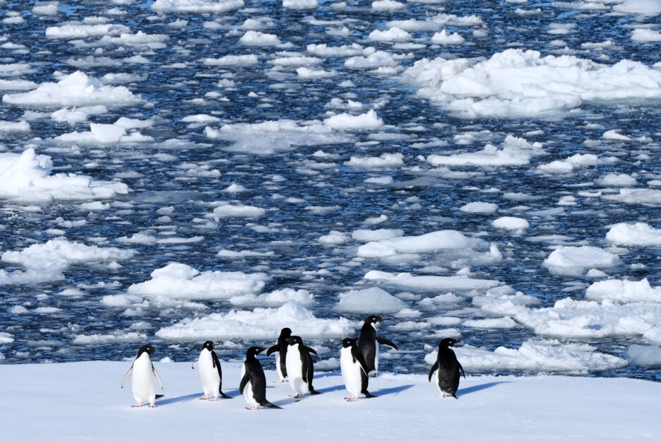 Foto: AP