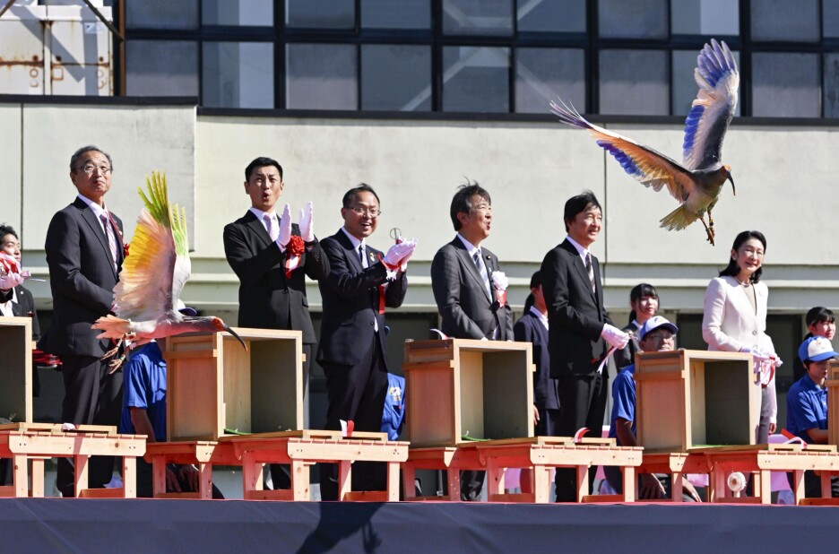 Japan Crested Ibises (Foto: AP)