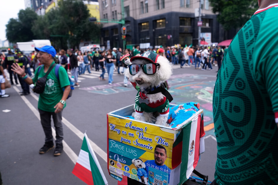 Mexico WCup Soccer Reaction (Foto: AP)