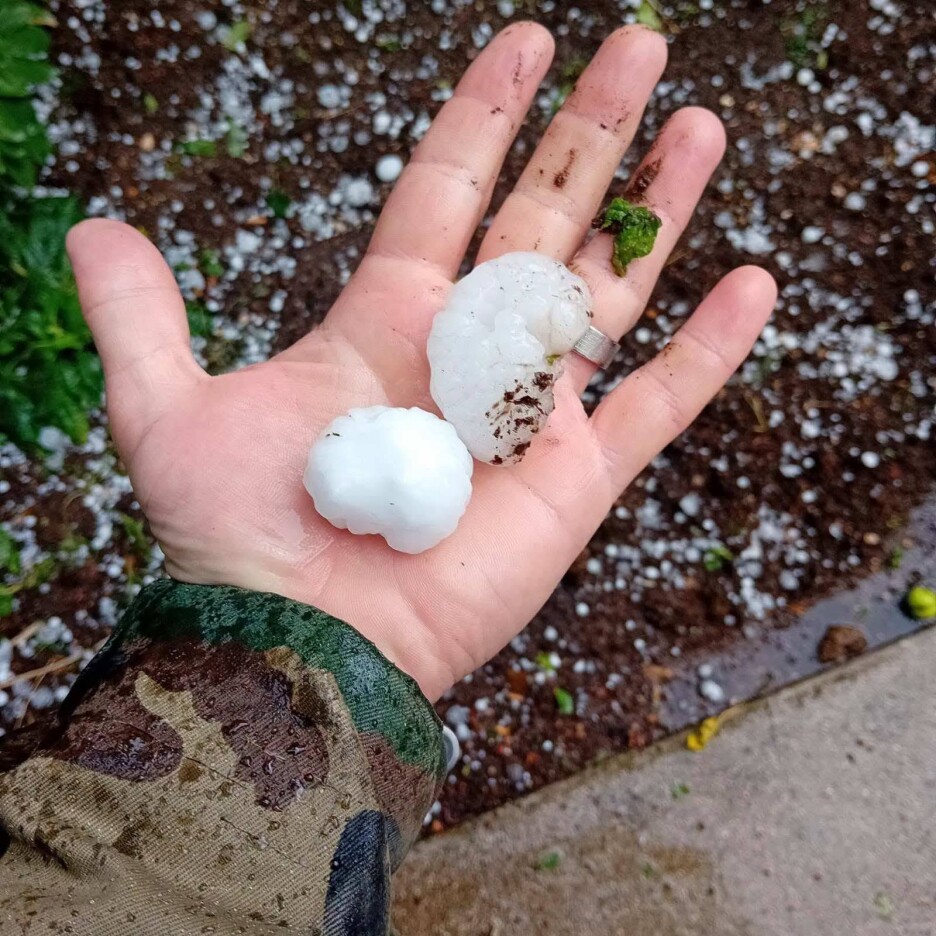 Šteta na imovini je ogromna, ali i na stambenim objektima i poljoprivedi (Foto: Facebook)