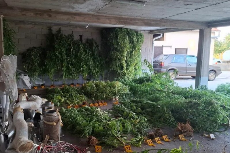 F. T. je uhapšen zbog postojanja osnova sumnje da je počinio krivično djelo
