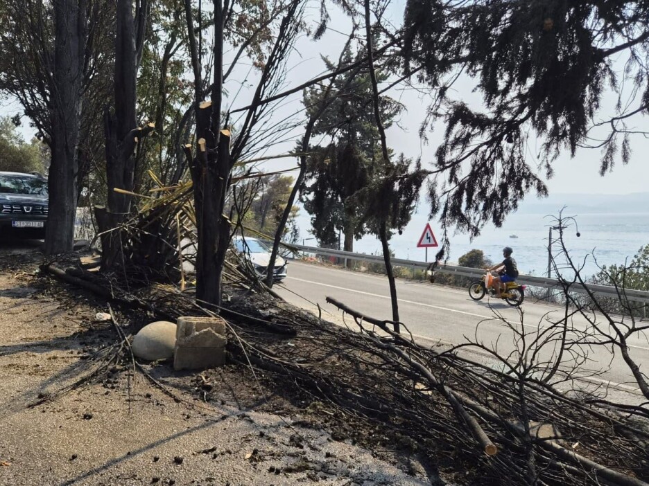 Foto: Dalmacija Danas