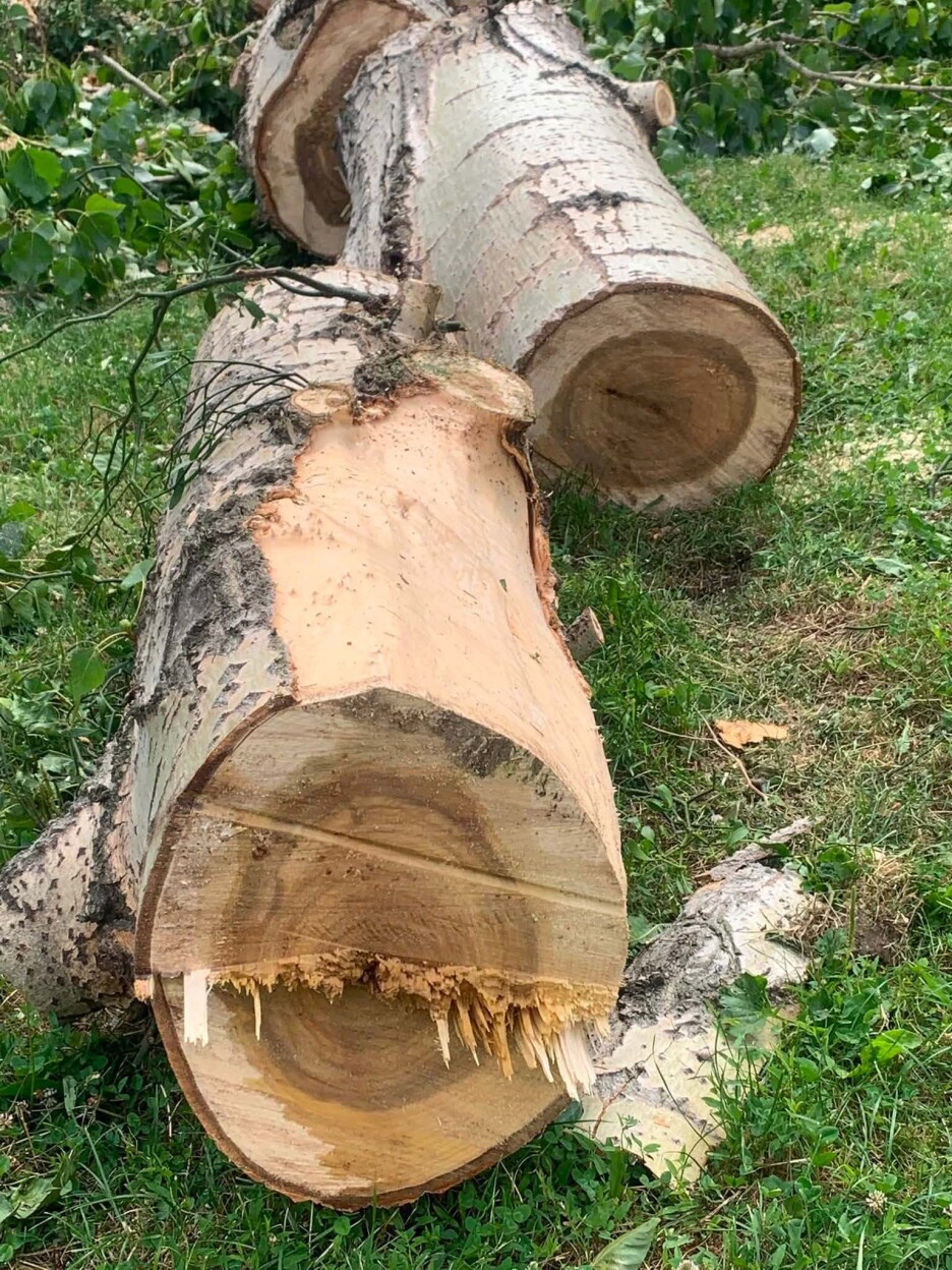 Općinskim komisija se mogu priključiti i vanjski stručni saradnici iz oblasti građevinarstva, arhitekture i saobraćaja (Foto: Društvene mreže)