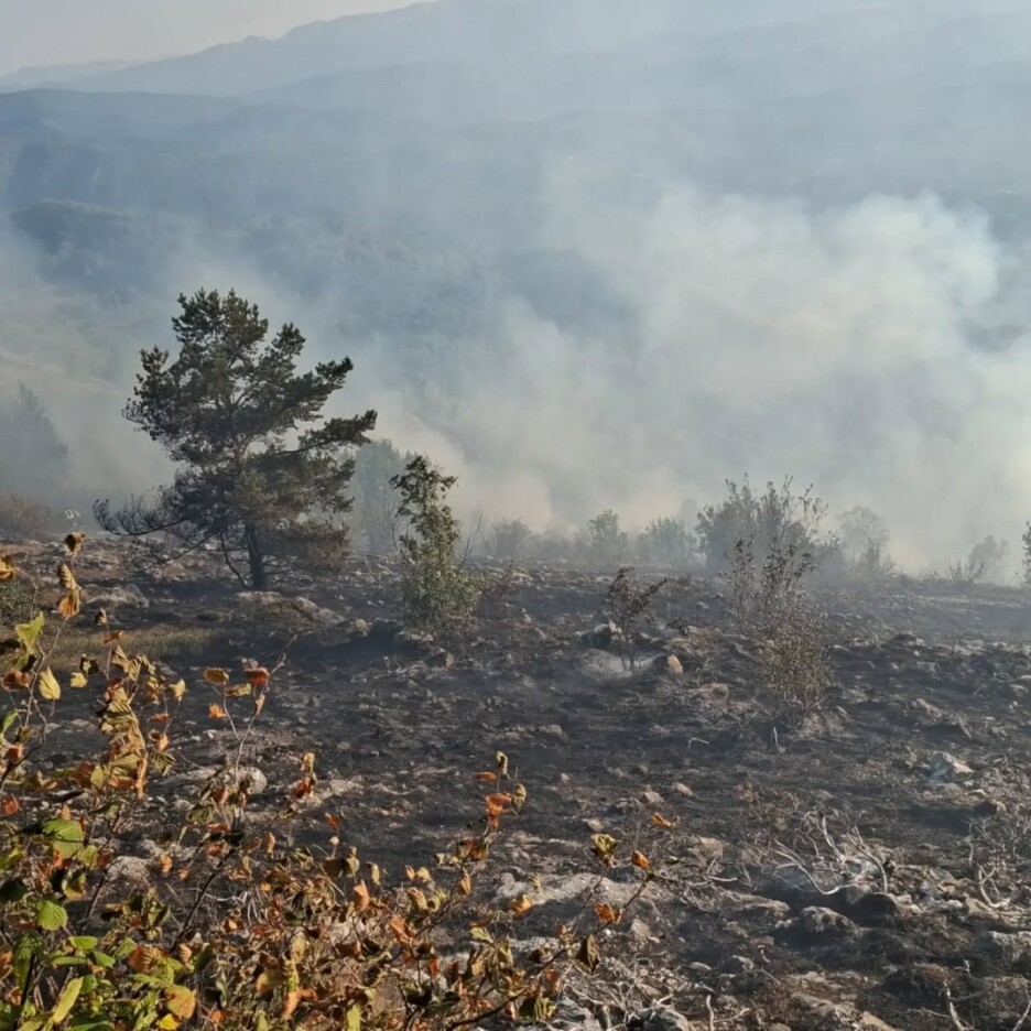 Foto: Vatrogasna jedinica Istočno Sarajevo