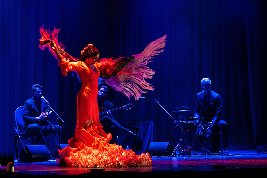 Festival Dansar nastavlja publici u Bosni i Hercegovini predstavljati vrhunske umjetnike i različita lica flamenco (Foto: Press)
