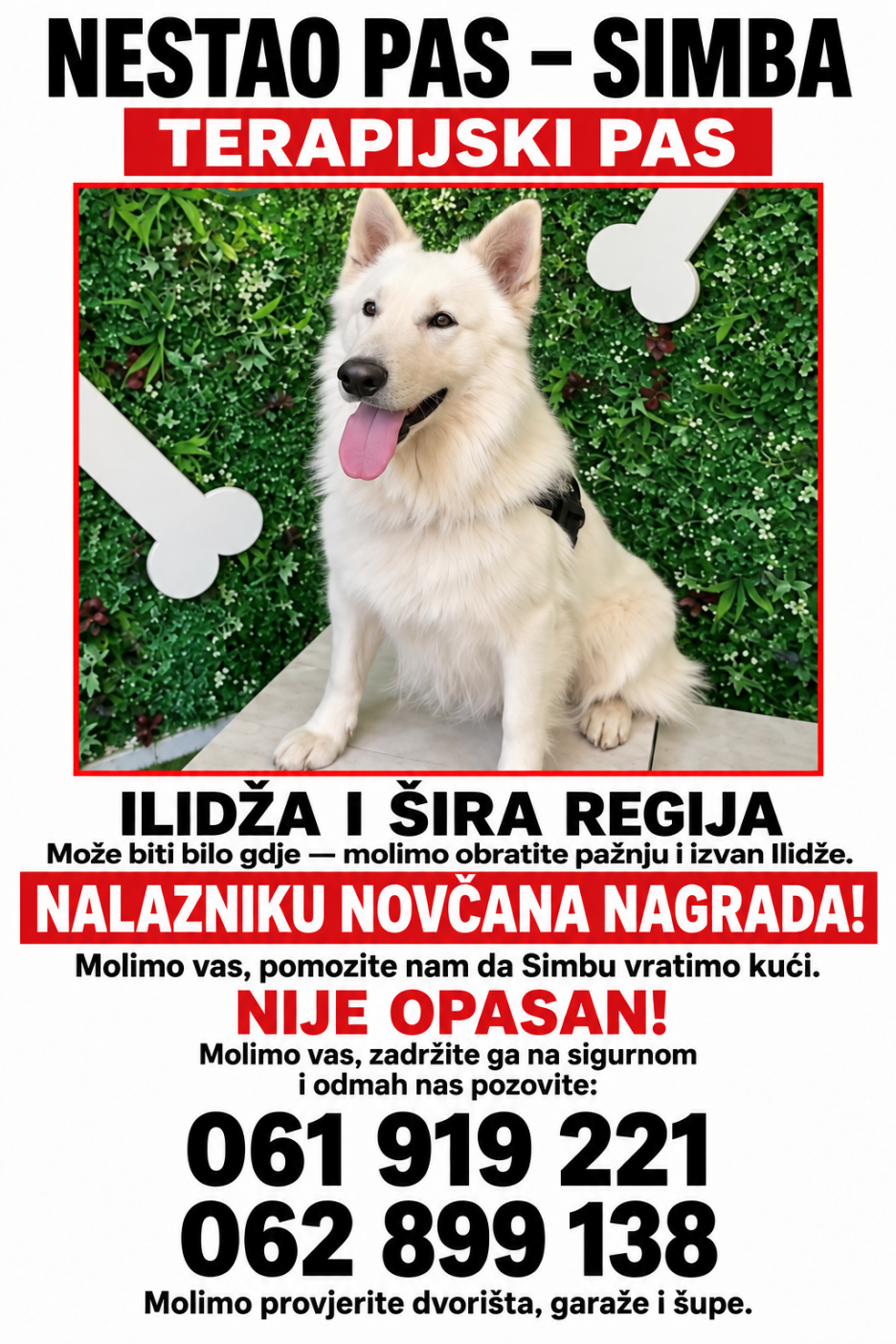 Ukoliko pronađete Simbu vlasnici mole da ih kontaktirate