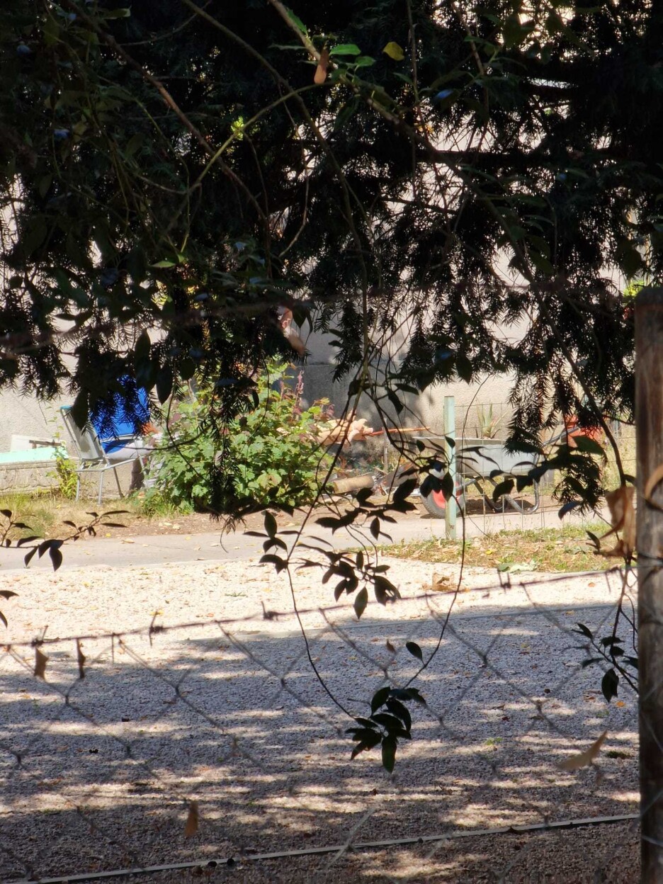 Ovakvi prizori zabrinjavaju građane (Foto: Čitatelj)