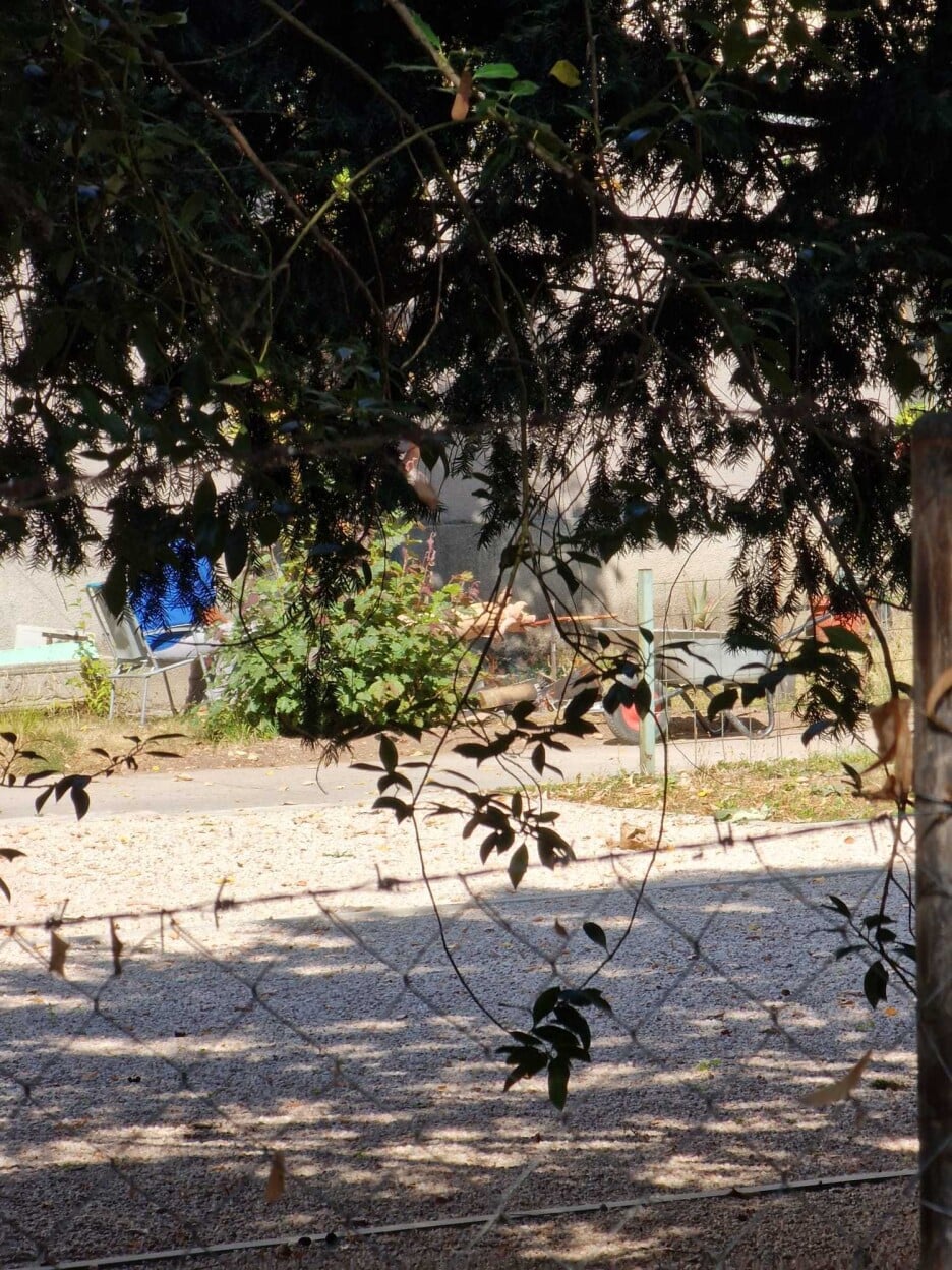 Ovakvi prizori zabrinjavaju građane (Foto: Čitatelj)