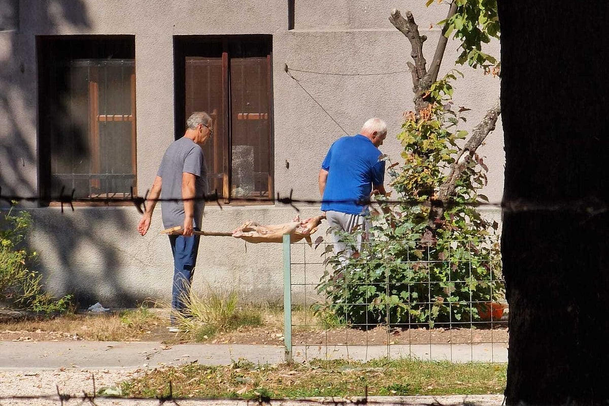Foto