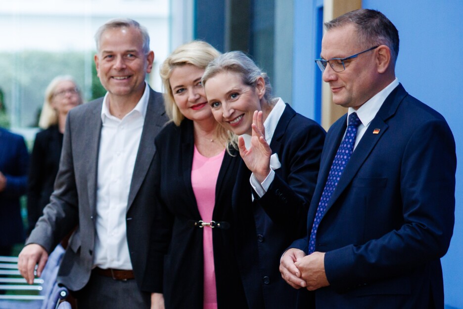 AfD zadovoljno trlja ruke u dvije pokrajine (Foto: EPA-EFE)