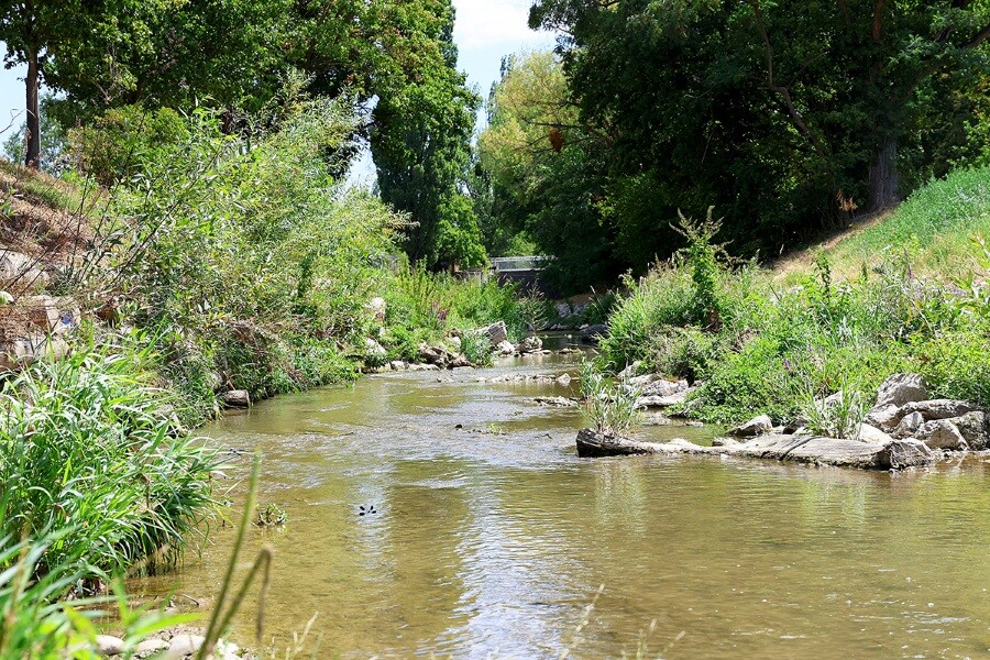 Rijeka Liesingbach u Beču (Foto: Grad Beč)