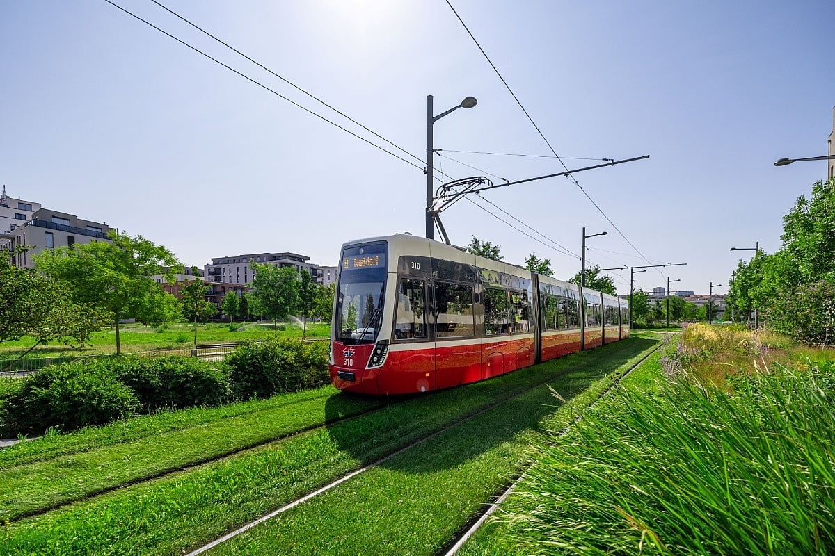 Beč dobija novih 600 metara zelenih tramvajskih pruga, sve se više kao rješenje koriste posebne biljke