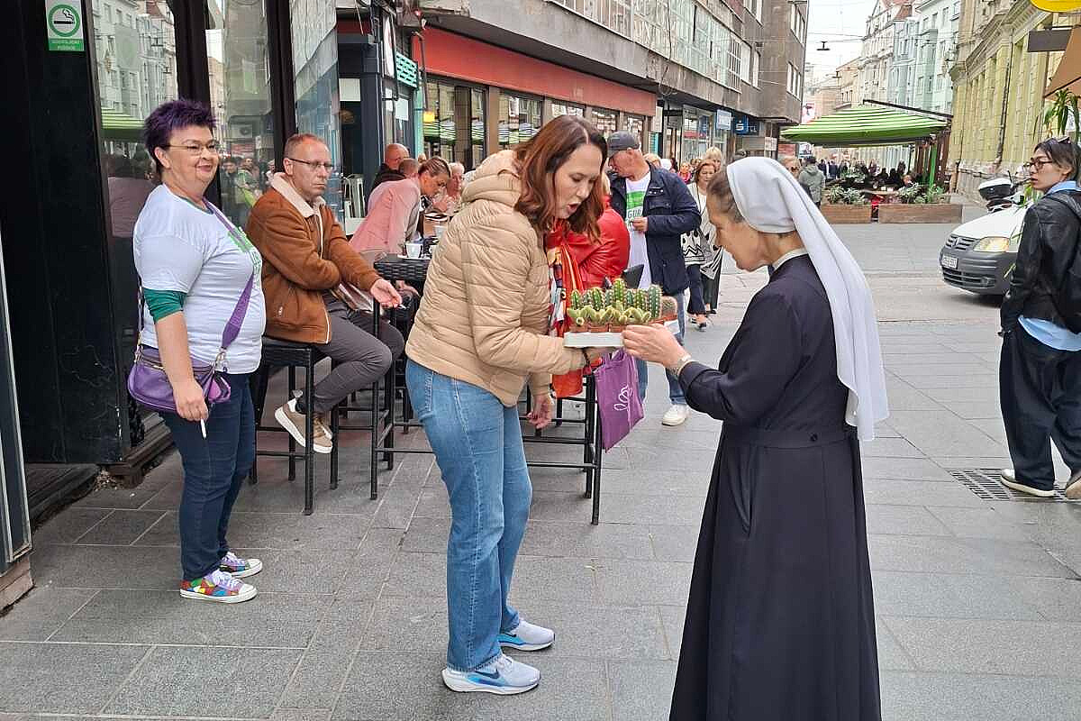 BH Zeleni organizovali druženje s građanima Sarajeva: Umjesto promo materijala dijelili sukulente